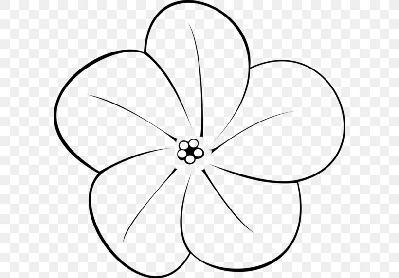 Clip Art Drawing Frangipani Image Flower, PNG, 600x572px, Drawing, Area, Artwork, Black, Black And White Download Free