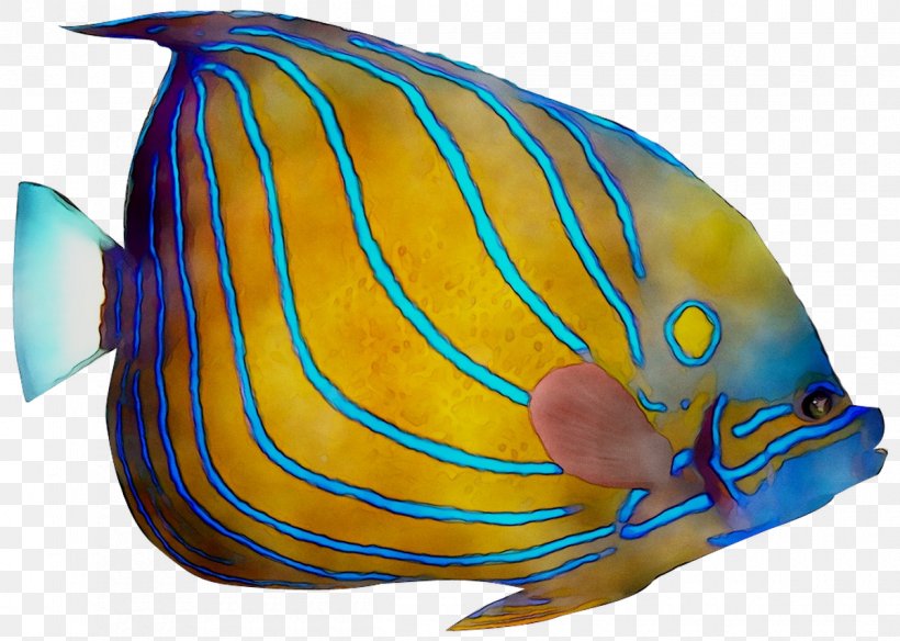 Marine Biology Cobalt Blue Fish, PNG, 1200x856px, Marine Biology, Biology, Blue, Butterflyfish, Cobalt Download Free