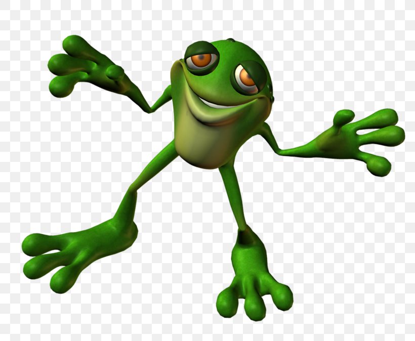 Toad True Frog Tree Frog Clip Art, PNG, 800x674px, Toad, Amphibian, Frog, Organism, Ranidae Download Free