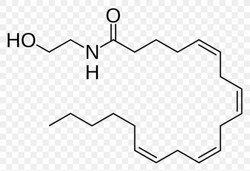 Anandamide Tetrahydrocannabinol Endocannabinoid System Cannabinoid Receptor, PNG, 1024x704px, Anandamide, Area, Black And White, Cannabinoid, Cannabinoid Receptor Download Free