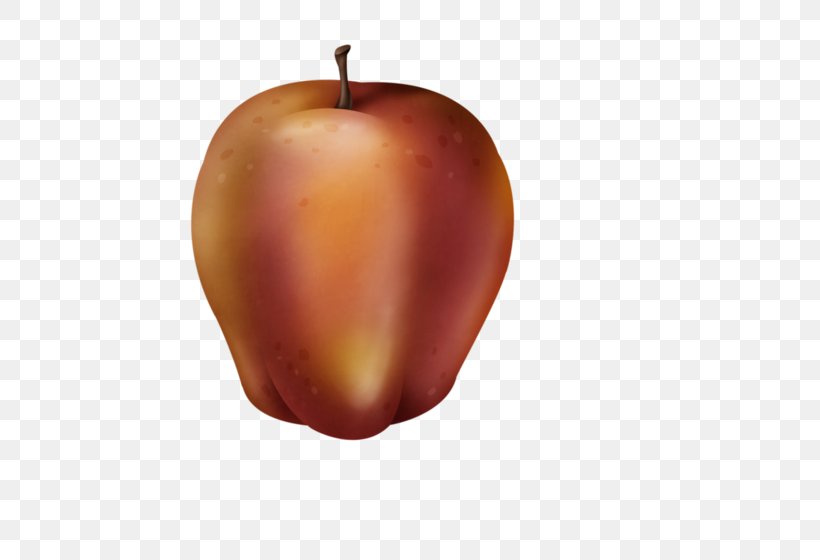 Apple Fruit Auglis, PNG, 600x560px, Apple, Auglis, Drawing, Food, Fruit Download Free