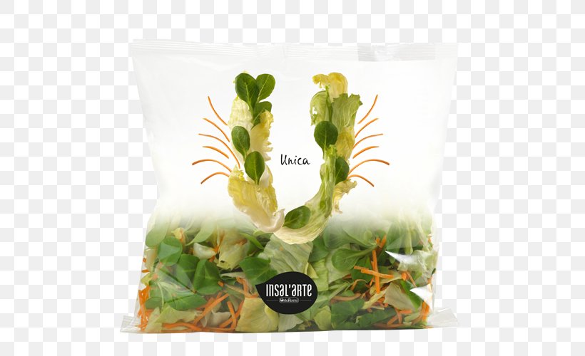 Herb Organic Food Crisp Vegetable Packaging And Labeling, PNG, 500x500px, Herb, Crisp, Dried Fruit, Food, Food Packaging Download Free