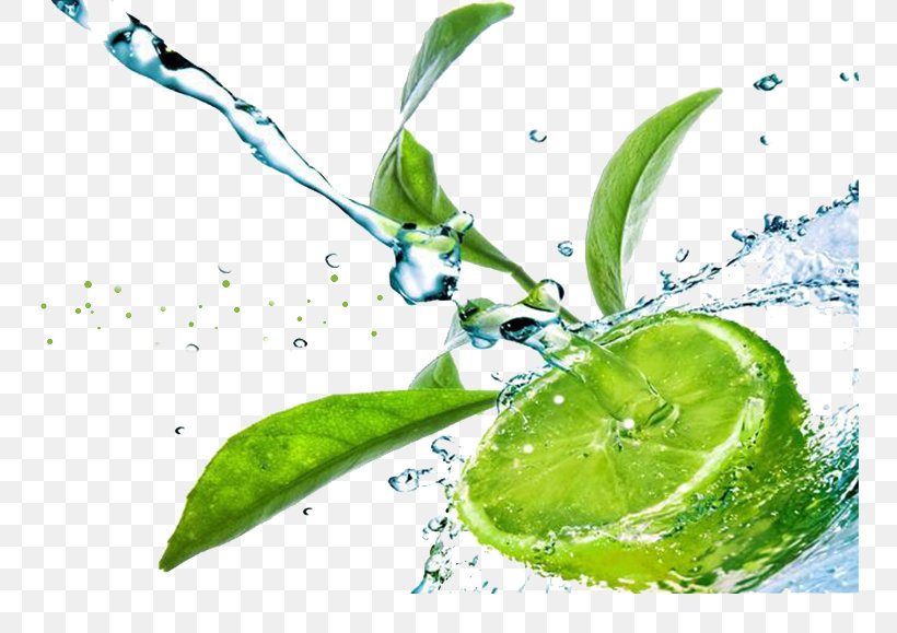 Lemon Juice Limeade Water, PNG, 750x579px, Lemon, Citrus, Drink, Food, Fruit Download Free