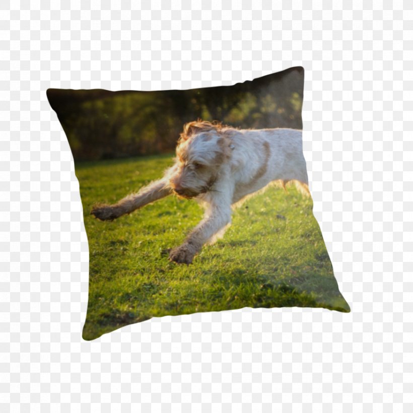 Throw Pillows Cushion, PNG, 875x875px, Throw Pillows, Cushion, Grass, Pillow, Throw Pillow Download Free