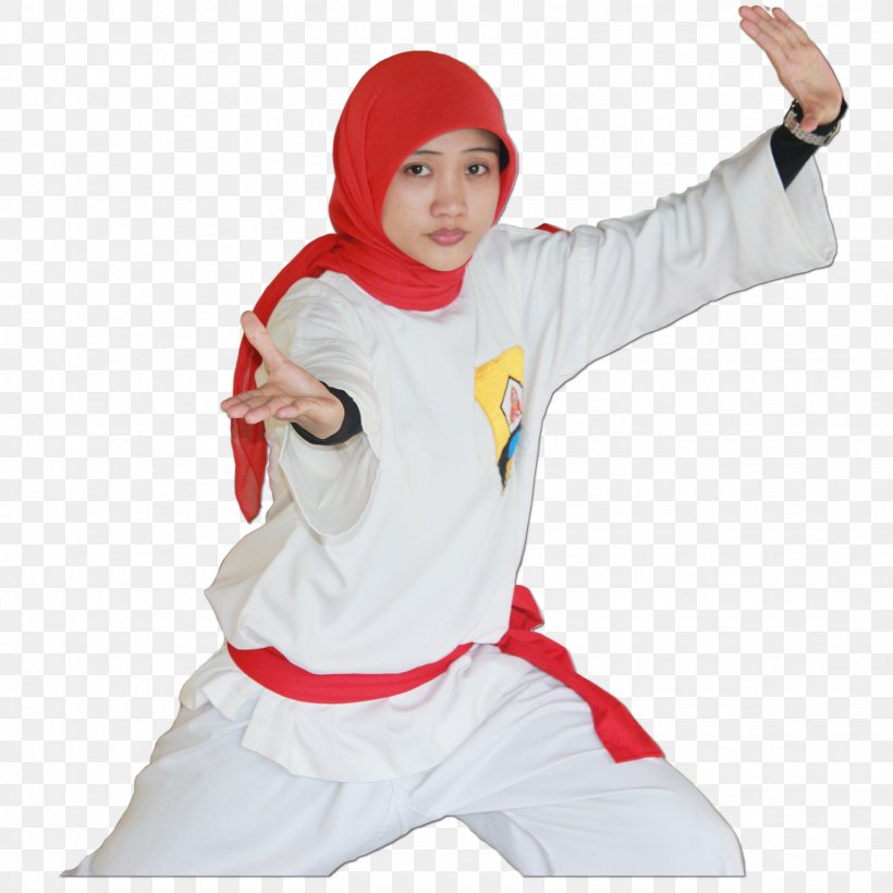 Keluarga Silat Nasional Indonesia Perisai Diri Syarif Hidayatullah State Islamic University Jakarta Culture Of Indonesia, PNG, 1535x1535px, 2017, Silat, Animaatio, Boy, Child Download Free