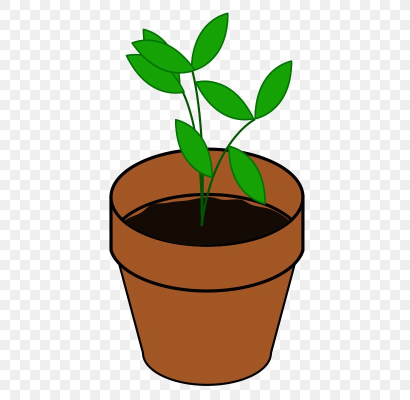 Plant Clip Art, PNG, 512x800px, Plant, Blog, Flower, Flowerpot, Food Download Free