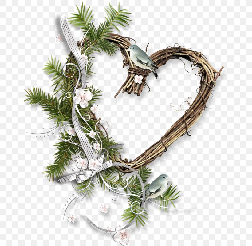 Heart Clip Art, PNG, 670x800px, Heart, Branch, Christmas Ornament, Feather, Idea Download Free