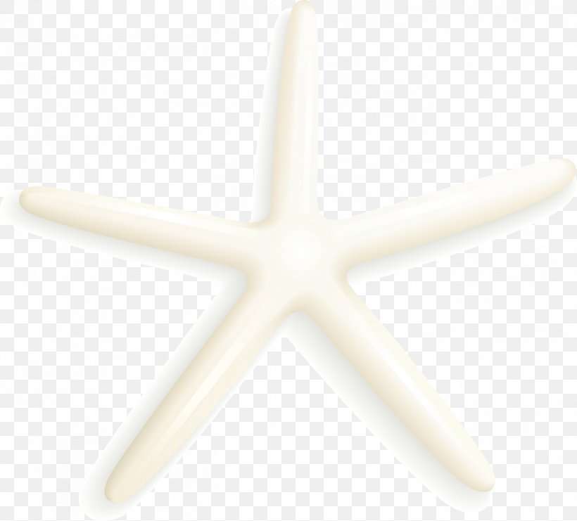 Starfish Angle Cadmium Pigments, PNG, 1364x1233px, Starfish, Cadmium, Cadmium Pigments, Echinoderm, Length Download Free