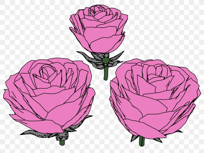 Garden Roses Cabbage Rose Illustration Clip Art Petal, PNG, 2000x1500px, Garden Roses, Cabbage Rose, Cut Flowers, Flower, Flowering Plant Download Free