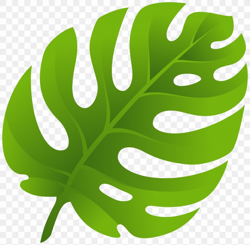 Leaf Clip Art, PNG, 8000x7838px, Leaf, Fruit, Grass, Green, Plant Download Free