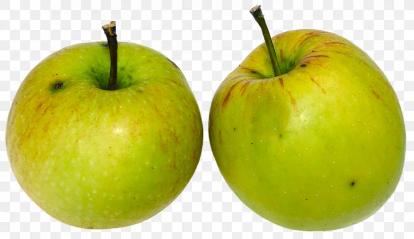 Paradise Apple Pome Fruit Granny Smith, PNG, 829x480px, Apple, Accessory Fruit, Apples, Culture, Flowering Plant Download Free