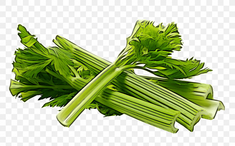 Parsley, PNG, 1417x886px, Parsley, Rapini, Spinach Download Free