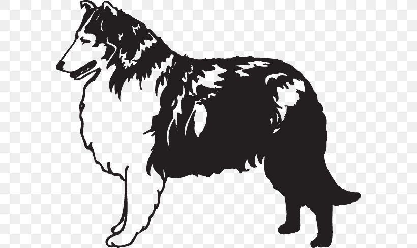Rough Collie Border Collie Scotch Collie Puppy Wall Decal, PNG, 600x487px, Rough Collie, Animal, Animal Breeding, Black And White, Border Collie Download Free