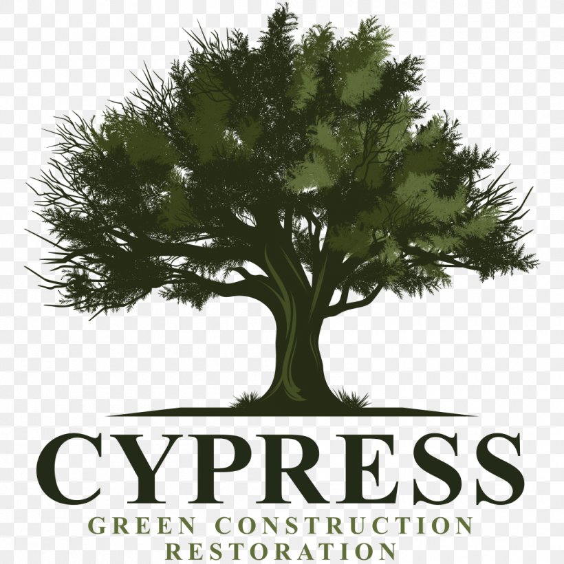 Cypress Energy Partners Partnership Company Organization Business, PNG, 1050x1050px, Partnership, Board Of Directors, Branch, Business, Chief Executive Download Free