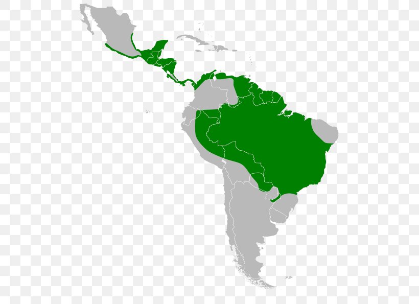 Latin America South America United States Region Geography, PNG, 550x595px, Latin America, Americas, Area, Central America, Country Download Free