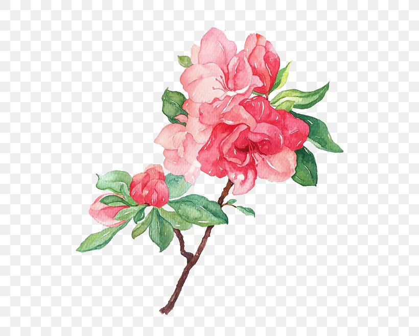 Garden Roses Flower Illustration, PNG, 658x658px, Flower, Artificial Flower, Azalea, Blossom, Branch Download Free