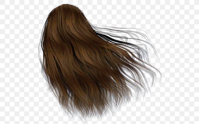 Hair Coloring Brown Hair Human Hair Color Cosmetics, PNG, 512x512px, Hair Coloring, Black Hair, Brown, Brown Hair, Color Download Free