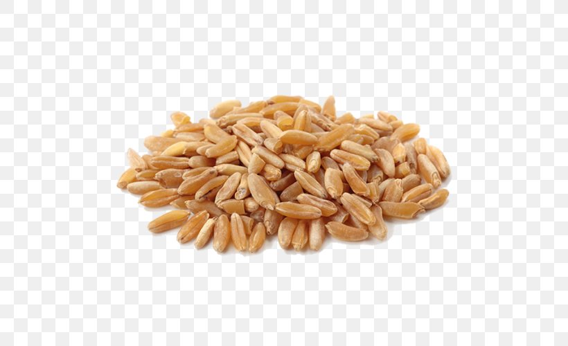 Khorasan Wheat Organic Food Cereal Wheat Flour, PNG, 500x500px, Khorasan Wheat, Avena, Buckwheat, Cereal, Cereal Germ Download Free