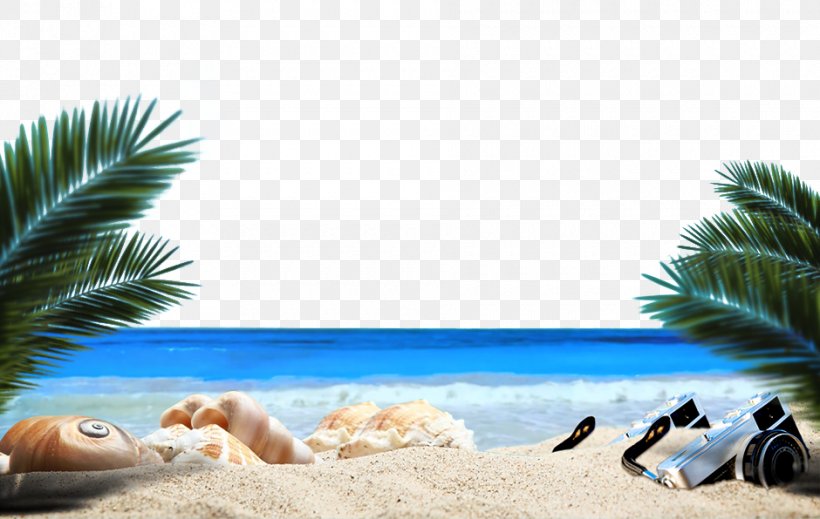 Ocean Beach Sandy Beach Sea, PNG, 940x596px, Ocean Beach, Beach, Designer, Gratis, Picture Frame Download Free