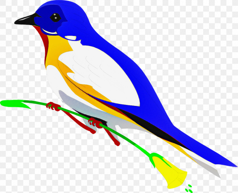 Bird Beak Songbird Perching Bird Finch, PNG, 958x778px, Bird, Beak, Finch, Perching Bird, Songbird Download Free