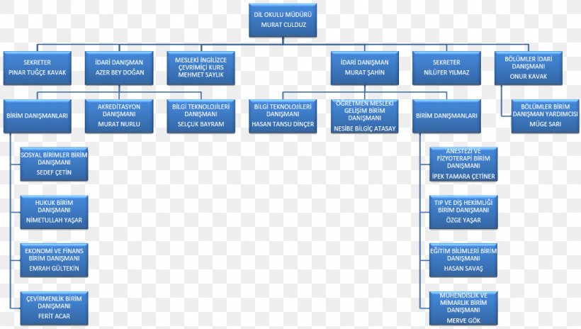 Organizational Chart Management Business University, PNG, 1034x586px, Organization, Area, Brand, Business, Chief Executive Download Free