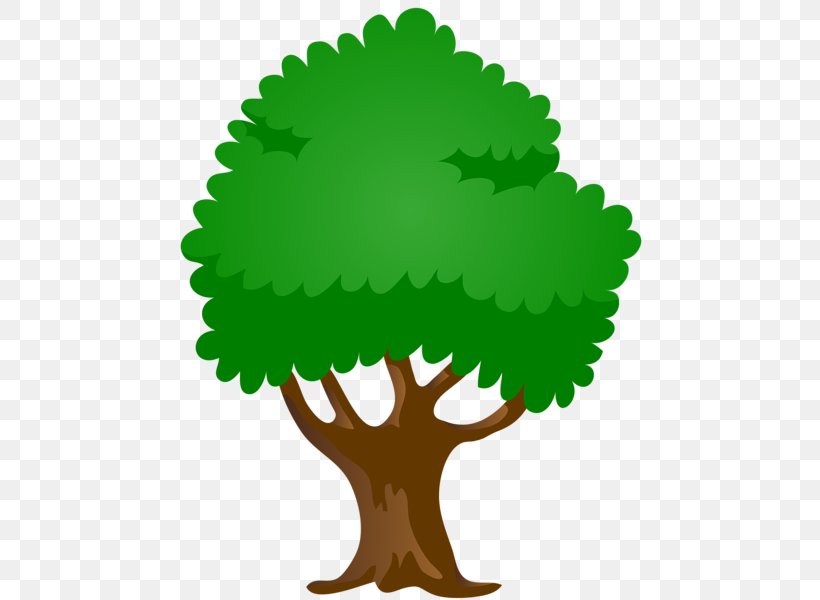 Shrub Tree Clip Art, PNG, 474x600px, Shrub, Berry, Blackberry, Blueberry, Boysenberry Download Free