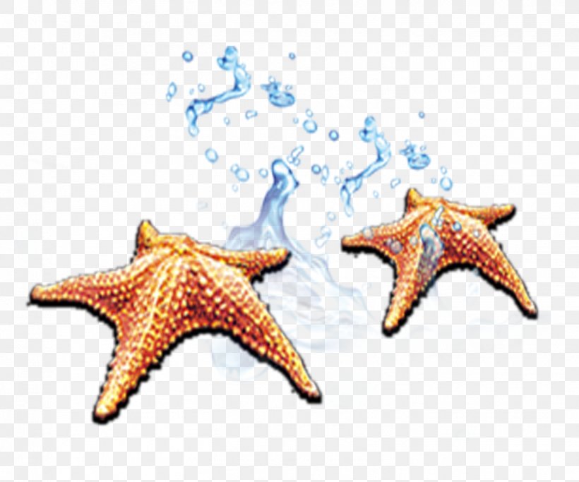 Starfish Clip Art, PNG, 1417x1181px, Starfish, Beach, Echinoderm, Gratis, Invertebrate Download Free