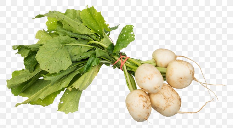 Turnip Daikon Vegetable Cabbage, PNG, 1741x961px, Daikon, Bell Pepper, Cabbage, Diet Food, Food Download Free