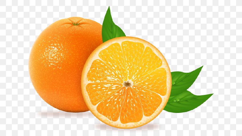 Blood Orange Juice Fruit Tangelo Tangerine, PNG, 650x460px, Blood Orange, Auglis, Bitter Orange, Citric Acid, Citron Download Free