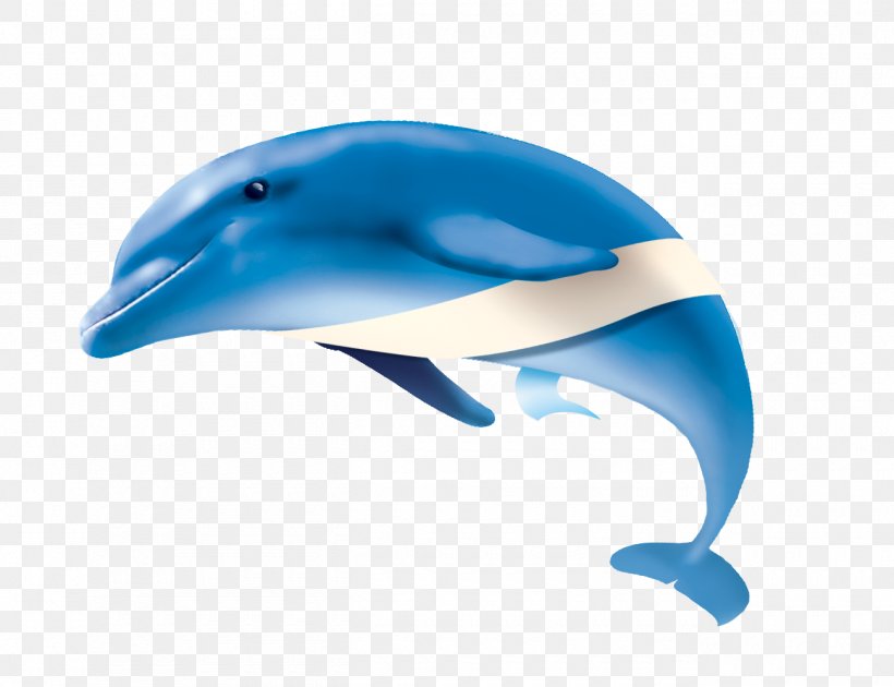 Dolphin Website, PNG, 1300x1000px, Dolphin, Alibaba Group, Aliexpress, Art, Beak Download Free
