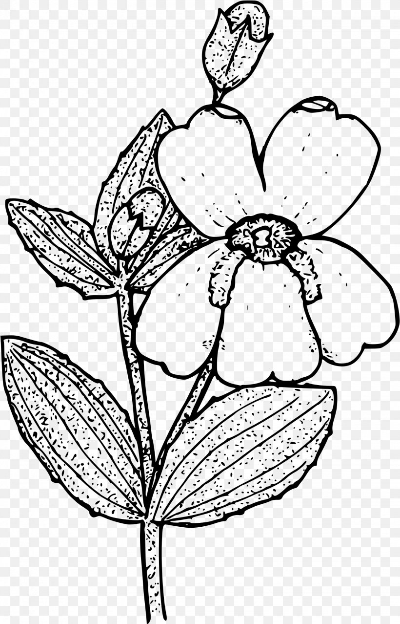 Floral Design Erythranthe Guttata Drawing Erythranthe Lewisii Clip Art, PNG, 1540x2400px, Floral Design, Art, Artwork, Black And White, Coloring Book Download Free