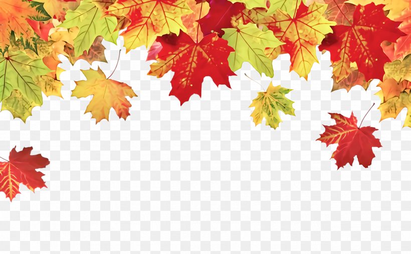 Maple Leaf, PNG, 2544x1572px, Leaf, Autumn, Black Maple, Maple, Maple Leaf Download Free