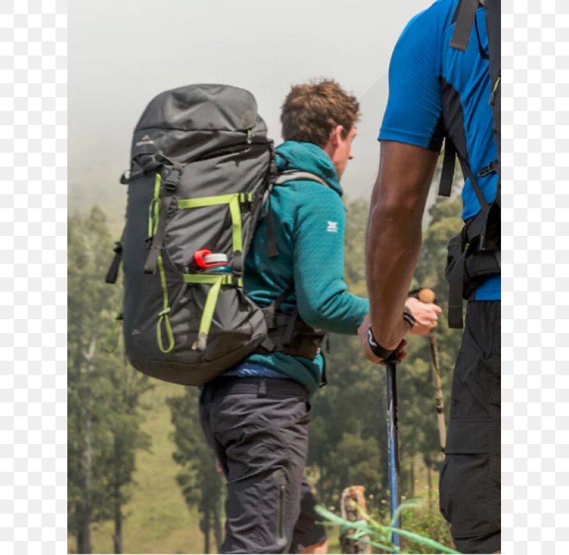 backpacking trekking pole