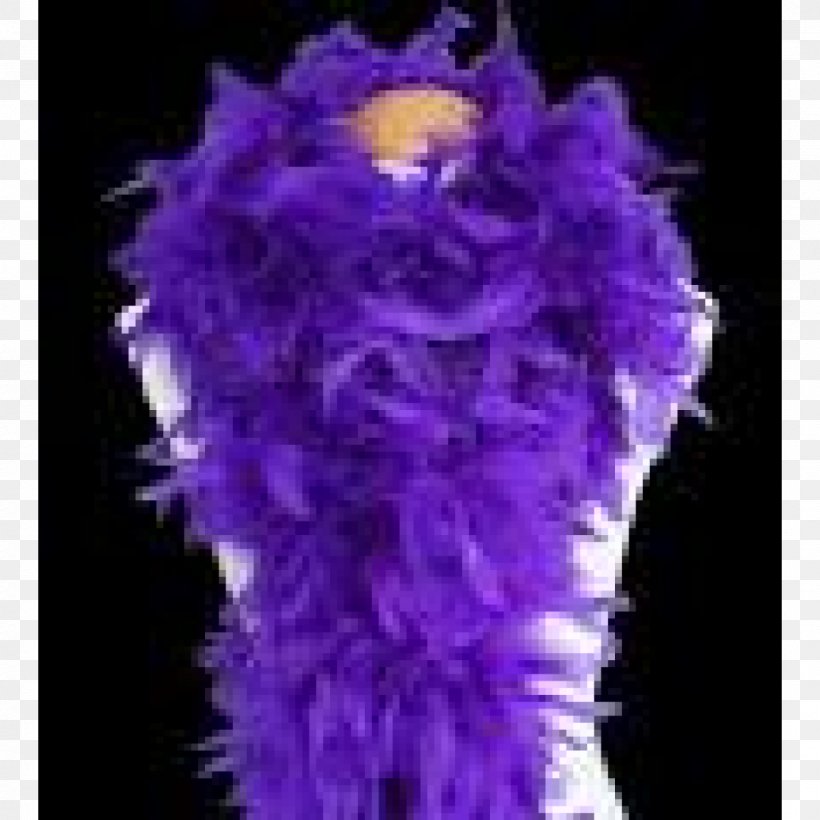 Feather Boa Purple Costume Violet, PNG, 1200x1200px, Feather Boa, Color, Costume, Costume Party, Feather Download Free