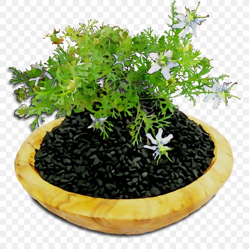 Flowerpot Herb Houseplant, PNG, 1140x1140px, Flowerpot, Annual Plant, Bonsai, Duranta, Flower Download Free