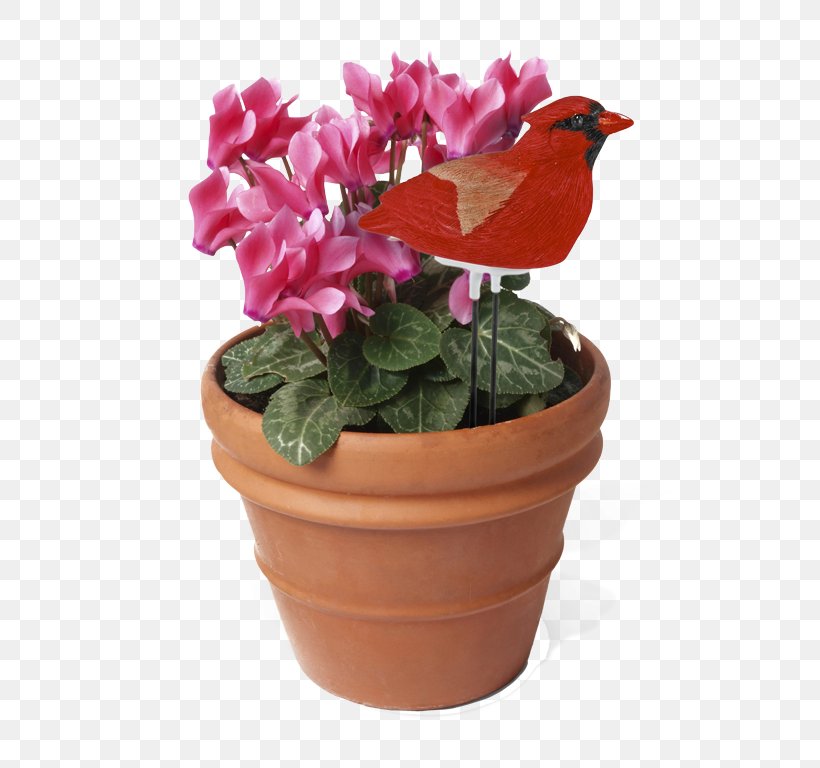 Houseplant Flowerpot Watering Cans, PNG, 576x768px, Houseplant, Artificial Flower, Bonsai, Cyclamen, Flower Download Free