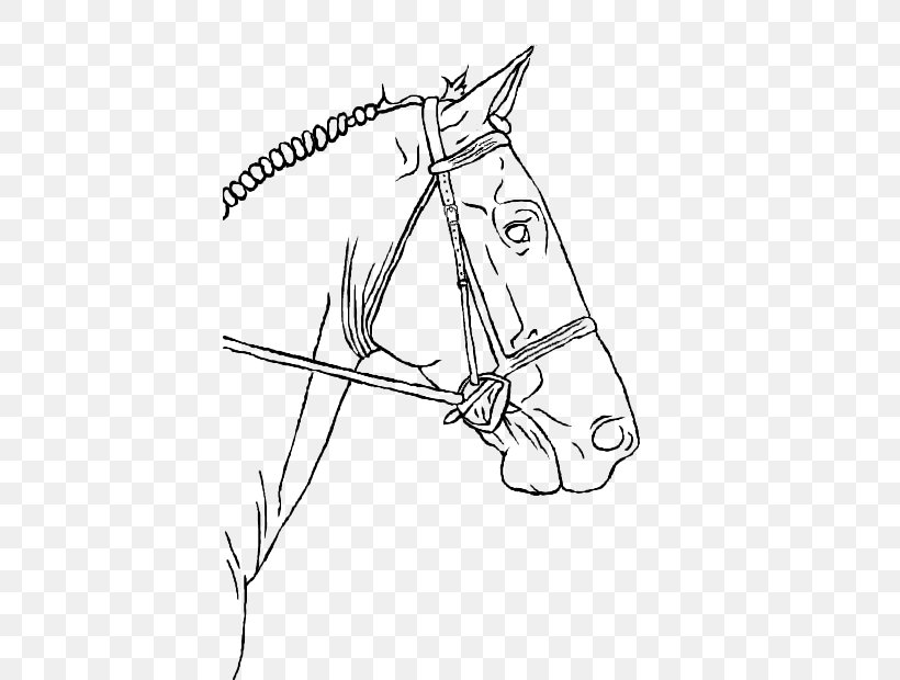 Line Art Horse Drawing Pony Equestrian, PNG, 413x620px, Line Art, Area, Arm, Art, Artwork Download Free