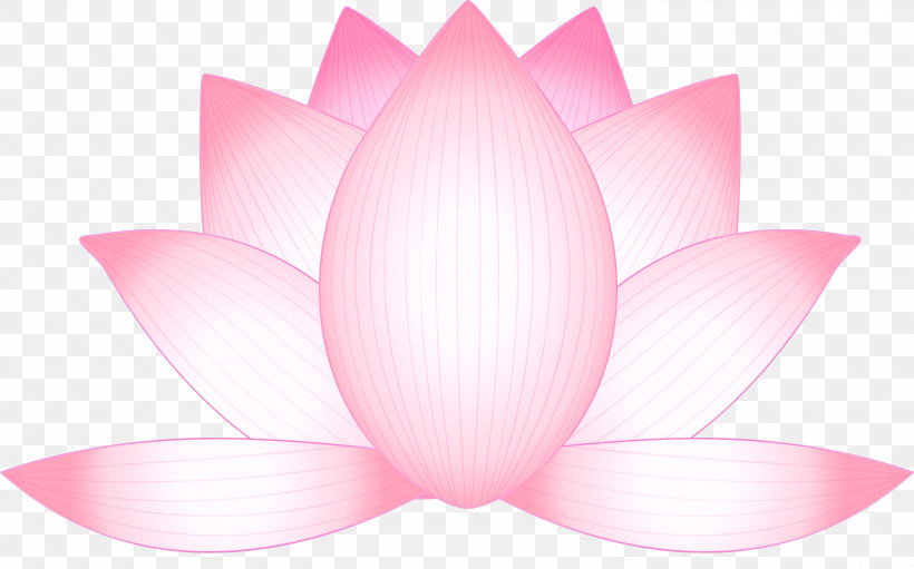 Lotus Flower, PNG, 3000x1871px, Lotus, Aquatic Plant, Flower, Herbaceous Plant, Lotus Family Download Free