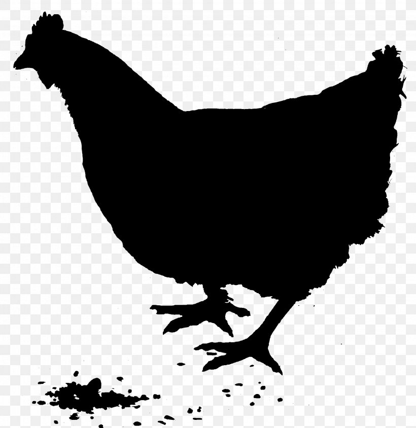 Rooster Silhouette Vector Graphics Chicken As Food Rhode Island Red, PNG, 2250x2316px, Rooster, Art, Beak, Bird, Blackandwhite Download Free