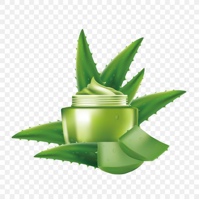 Aloe Vera Cosmetics Euclidean Vector, PNG, 1140x1140px, Aloe Vera, Aloe, Alternative Medicine, Cosmetics, Drop Download Free