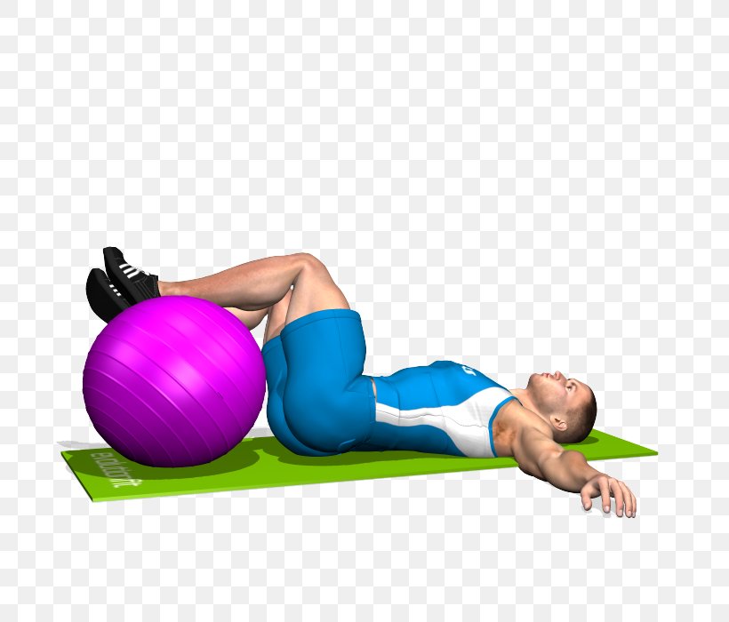 Exercise Balls Abdomen Crunch Abdominal External Oblique Muscle, PNG, 700x700px, Watercolor, Cartoon, Flower, Frame, Heart Download Free