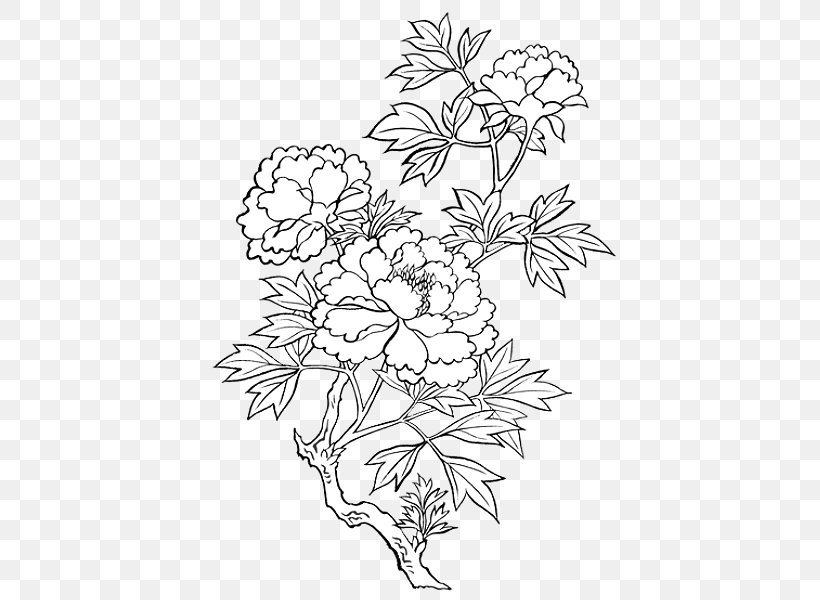 Peony Drawing Watercolor Painting Clip Art, PNG, 436x600px, Peony, Area, Art, Black And White, Branch Download Free