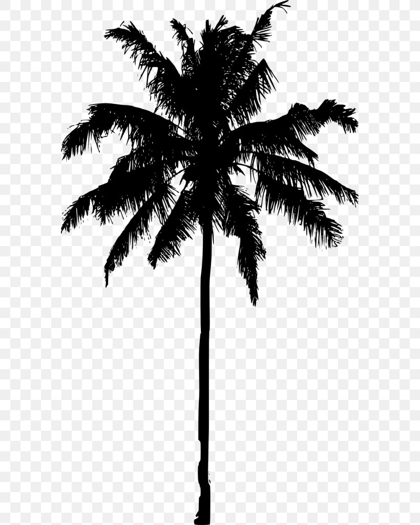 Asian Palmyra Palm Arecaceae Silhouette Tree, PNG, 581x1024px, Asian ...
