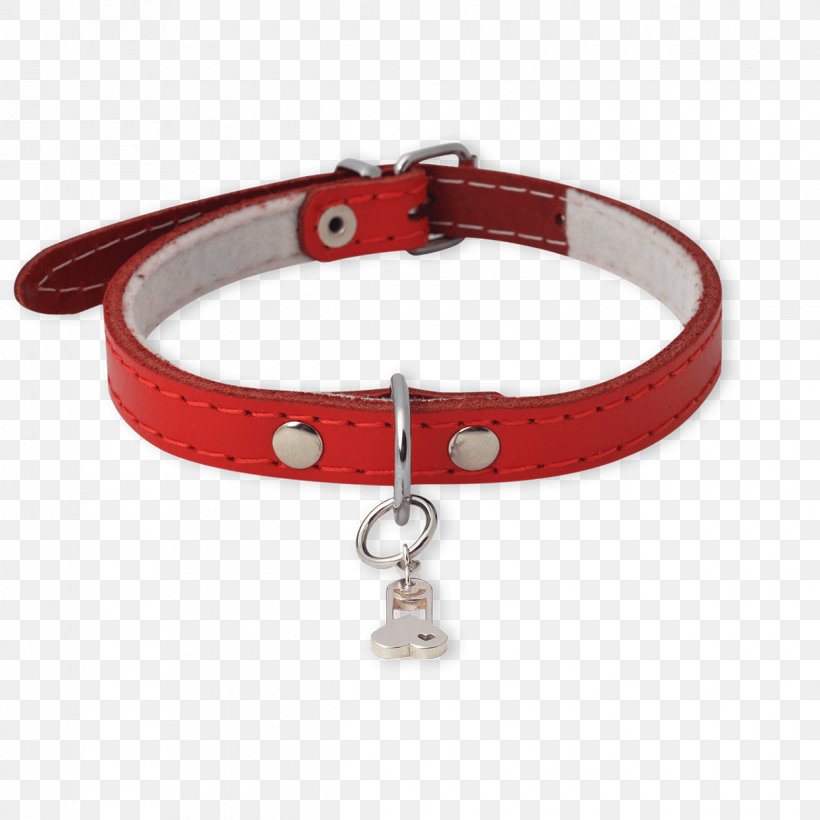 Bracelet Netherlands Jewellery Omega SA Necklace, PNG, 1240x1240px, Bracelet, Collar, Dog, Dog Collar, Jeweler Download Free