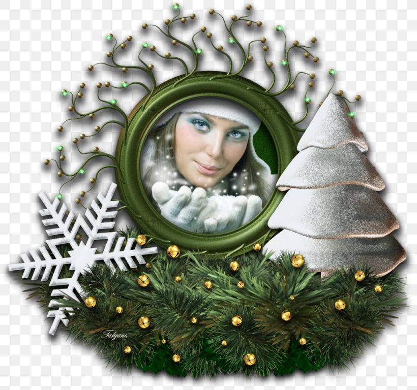 Christmas Tree Christmas Ornament Ded Moroz Photography, PNG, 1024x960px, Christmas Tree, Christmas, Christmas Decoration, Christmas Ornament, Conifer Download Free