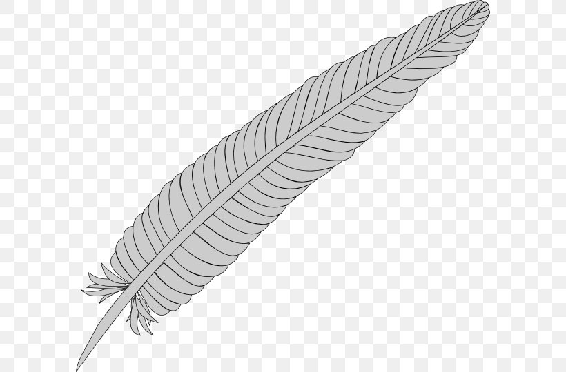 Feather Clip Art, PNG, 600x540px, Feather, Black And White, Drawing, Free Content, Pixabay Download Free
