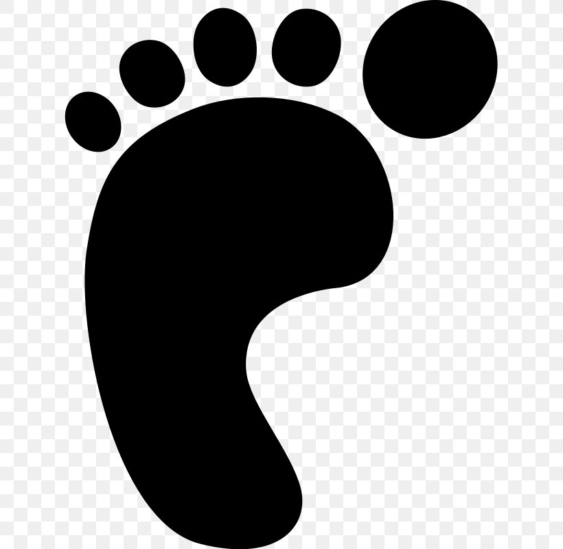 Footprint Clip Art, PNG, 631x800px, Footprint, Black, Black And White, Foot, Monochrome Download Free