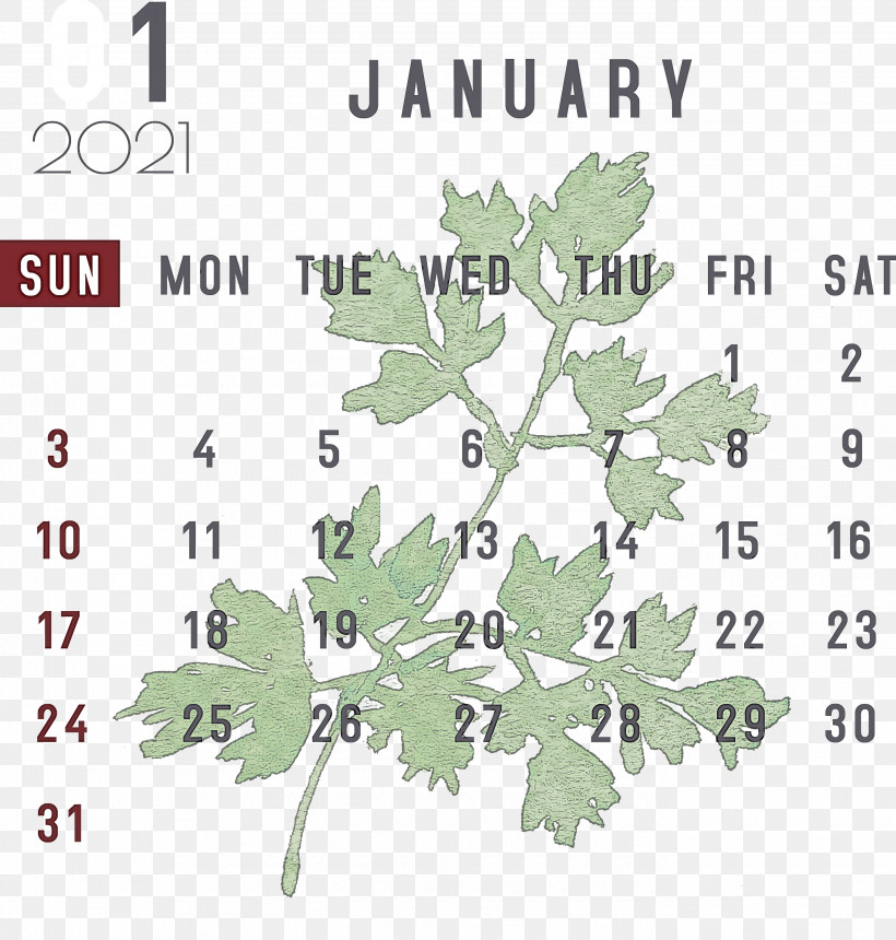 January January 2021 Printable Calendars January Calendar, PNG, 2750x2886px, January, Branching, Flower, Geometry, January Calendar Download Free
