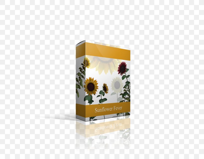 Product Flower, PNG, 537x640px, Flower Download Free