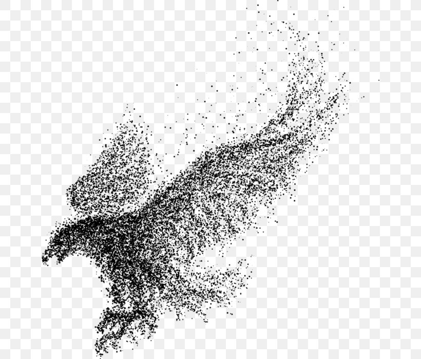 Bird Eagle Particle, PNG, 658x699px, Bird, Art, Artwork, Black And White, Drawing Download Free